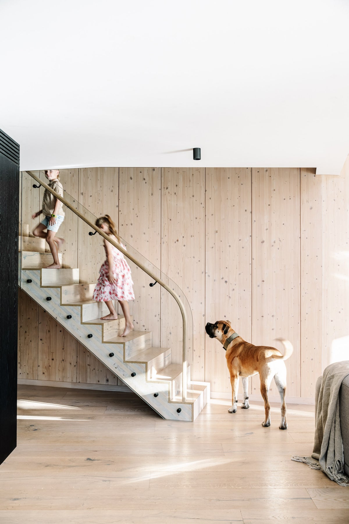 The Panel House
